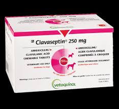 Clavaseptin Chewable Tabs