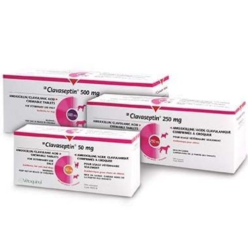 Clavaseptin Chewable Tabs