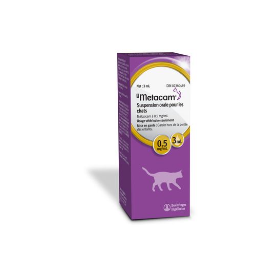 Metacam Cat Oral