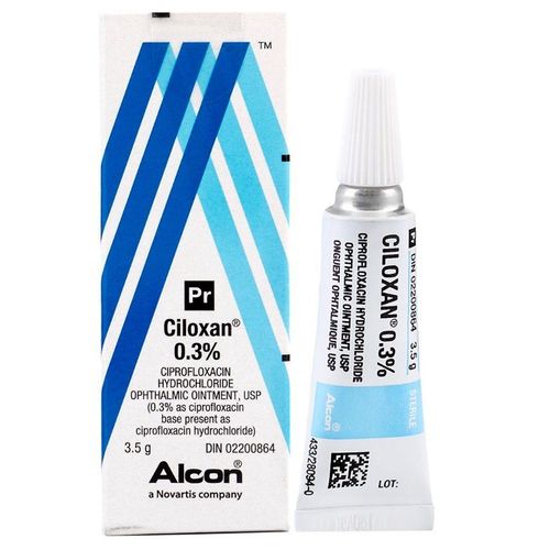 Ciloxan Ophthalmic Ointment