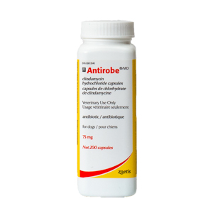 Antirobe