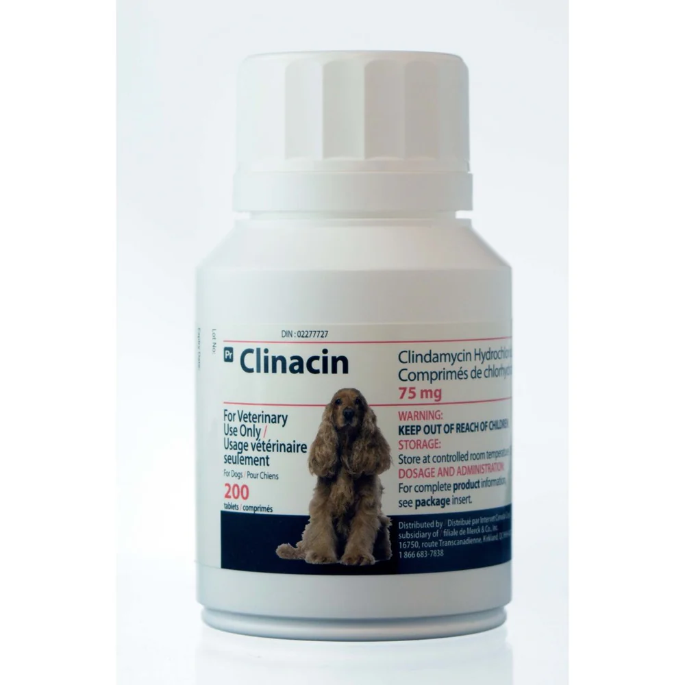 Clinacin Tabs