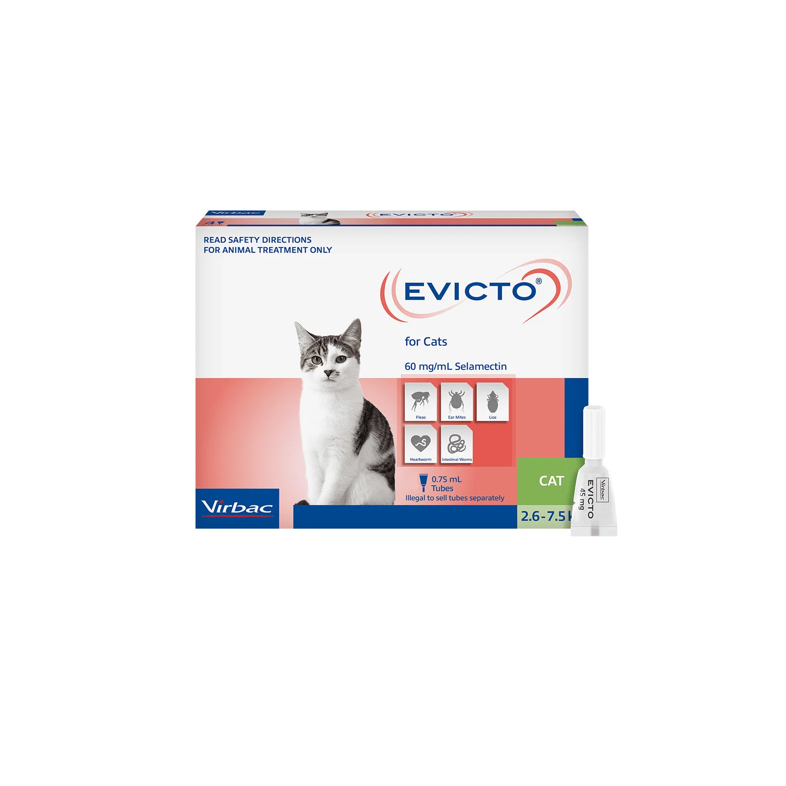 Evicto