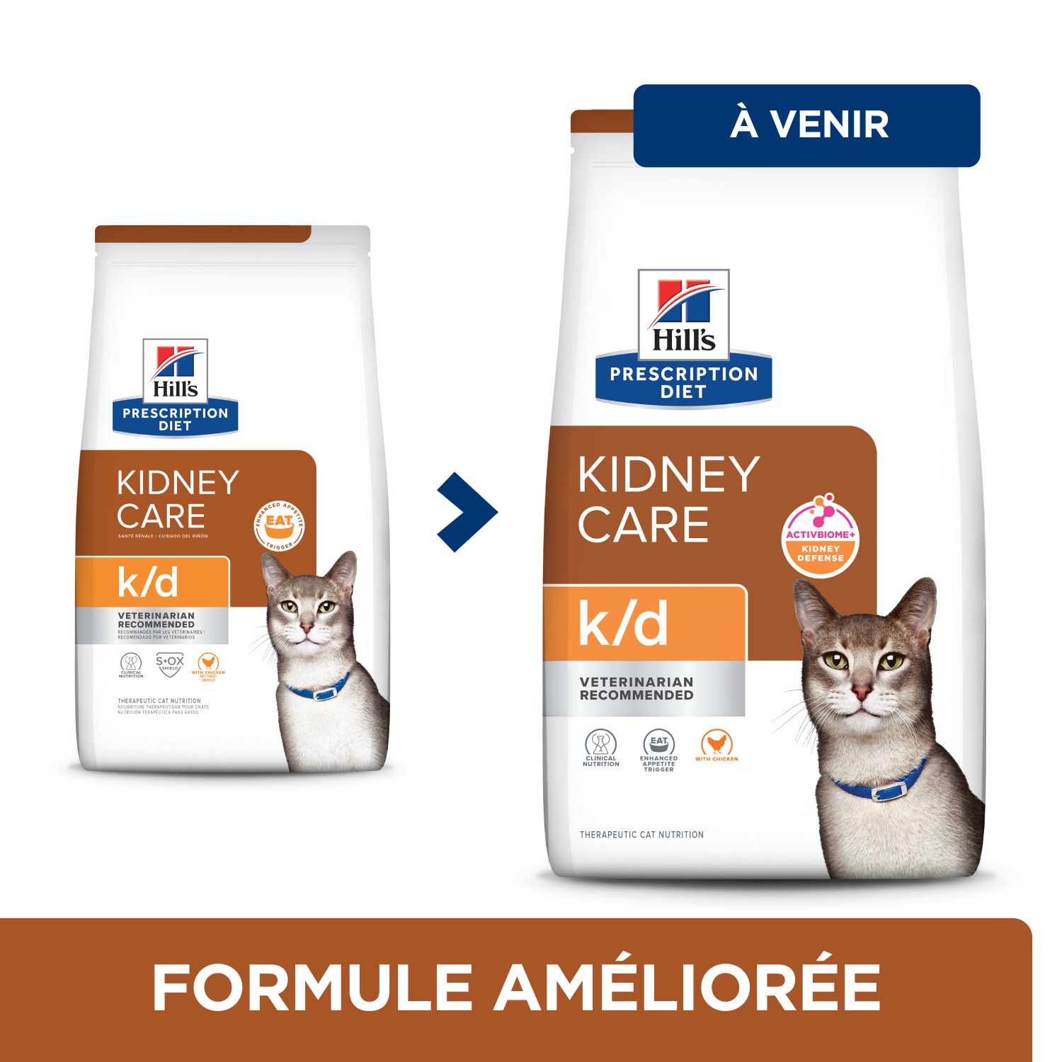Hill's Prescription Diet K/d Kidney Care Cat Kibbles