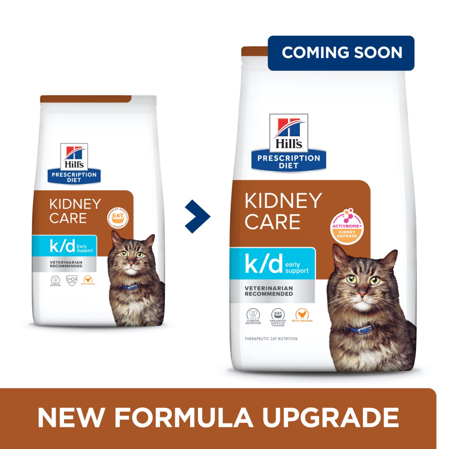 Hill's Prescription Diet K/d Kidney Care Early Support Cat Kibbles