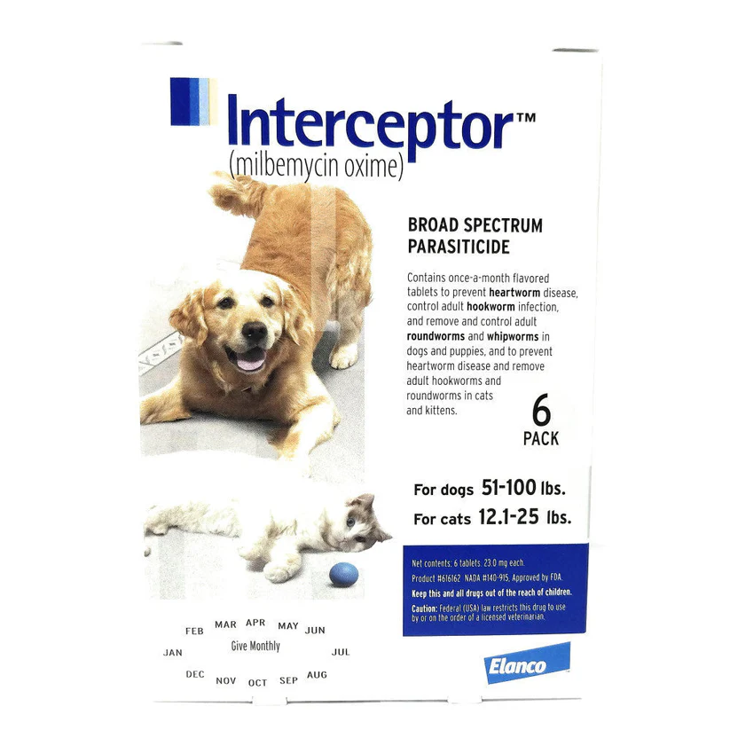 Interceptor