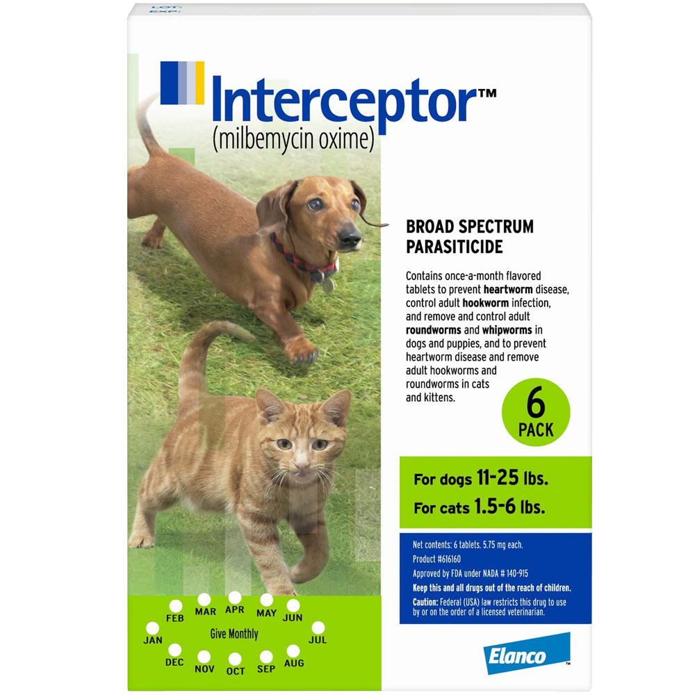 Interceptor