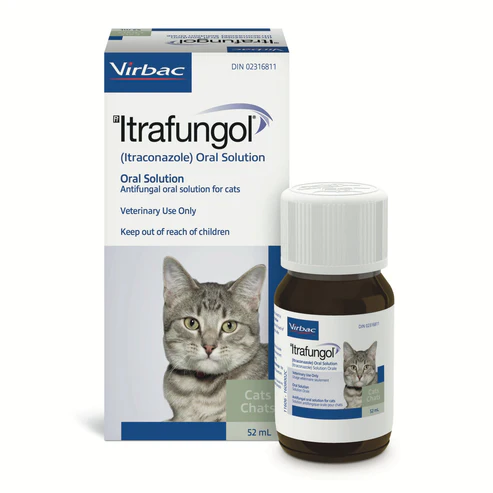Itrafungol Oral Solution