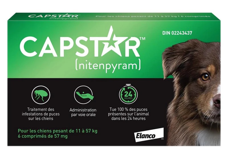 Capstar For Dogs