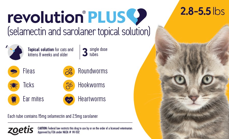 Revolution Plus